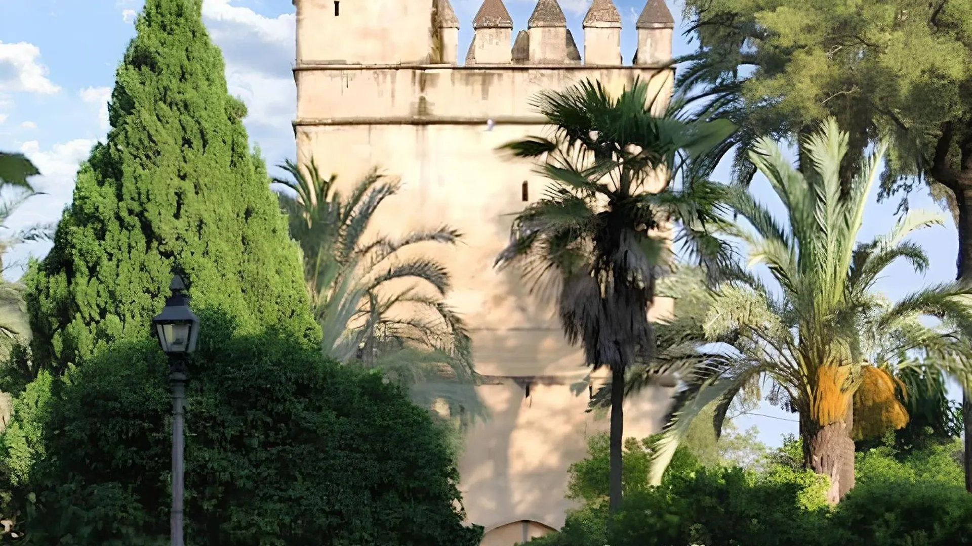 Charming City Centre Apartment In Cordoba With Parking